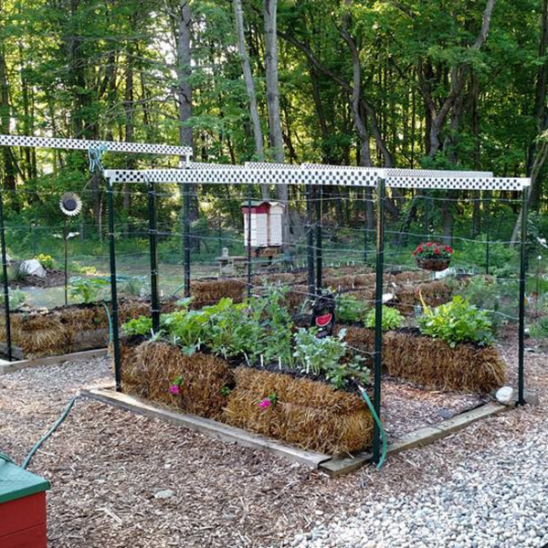 Straw Bale Gardens Complete by Joel Karsten is HIGHLY RECOMMENDED FOR ANYONE GETTING STARTED