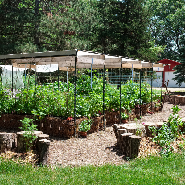 BaleBuster4 Starter Kit (with Straw Bale Gardens Complete book)