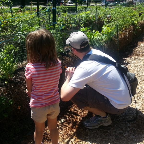 Straw Bale Gardens Complete by Joel Karsten is HIGHLY RECOMMENDED FOR ANYONE GETTING STARTED