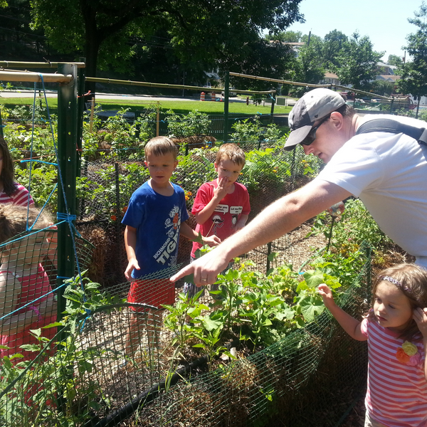 Straw Bale Gardens Complete by Joel Karsten is HIGHLY RECOMMENDED FOR ANYONE GETTING STARTED