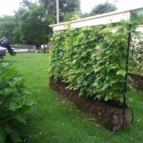 BaleBuster4 Starter Kit (with Straw Bale Gardens Complete book)