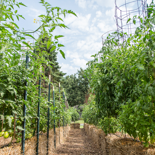 Straw Bale Gardens by Joel Karsten