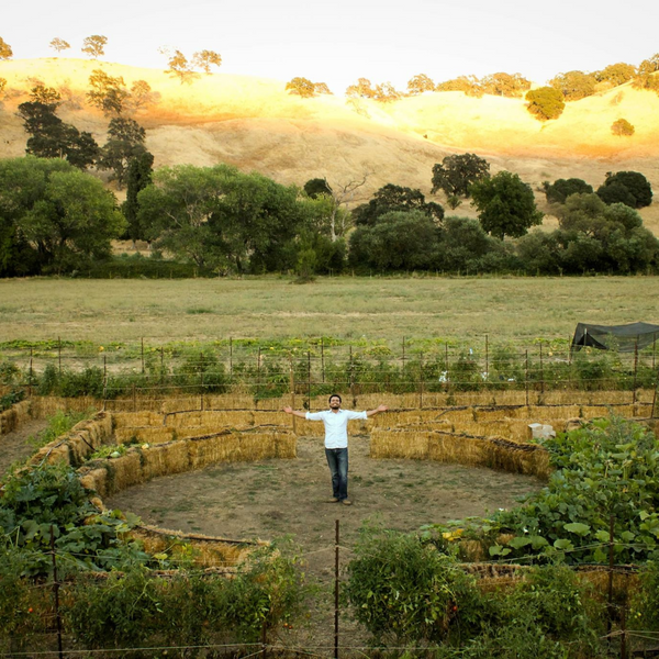 BaleBuster4 Starter Kit (with Straw Bale Gardens Complete book)