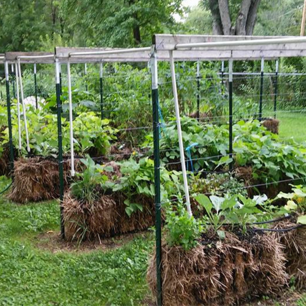 BaleBuster4 Starter Kit (with Straw Bale Gardens Complete book)