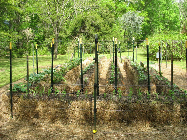 20 - Straw Bale Gardens  - copyright 2013 by Joel Karsten