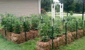 20 - Straw Bale Gardens  - copyright 2013 by Joel Karsten